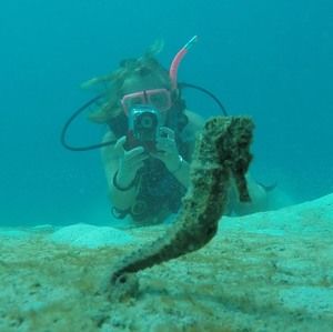 Meet your Posher, Cindy